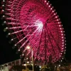 89m-Ferris-Wheel