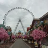 103m-Ferris-Wheel