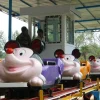 Jungle Roller Coaster (Crazy Mouse)