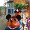 Jungle Roller Coaster (Crazy Mouse)
