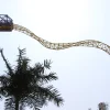 Magic-Loop Rollercoaster