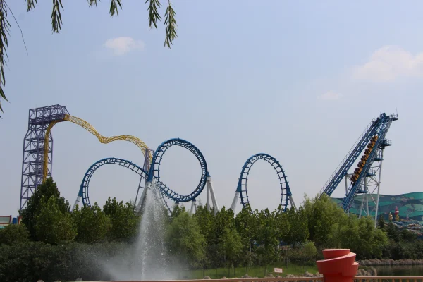 Reciprocating Roller Coaster