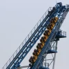 Reciprocating Roller Coaster