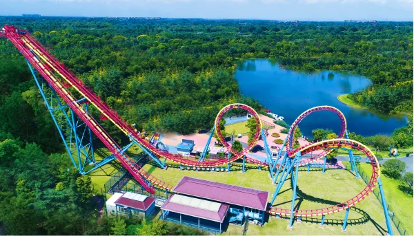 Reciprocating Roller Coaster