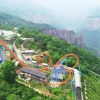 Reciprocating Roller Coaster