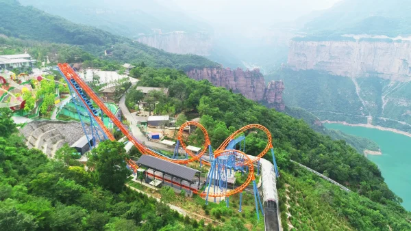 Reciprocating Roller Coaster