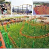 Jungle Roller Coaster (Crazy Mouse)