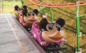 Jungle Roller Coaster (Crazy Mouse)